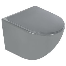 Vas WC suspendat gri cu capac soft close Duroplast