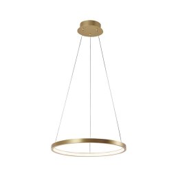 Leuchten Direkt 11522-12 - Lustră LED pe cablu CIRCLE LED/19W/230V