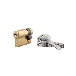 Butuc usa 30 x 10 mm, Trafic 6, alamit, inalta securitate