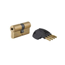 Butuc usa inalta securitate, 31 x 31 mm, Surveyor, THIRARD
