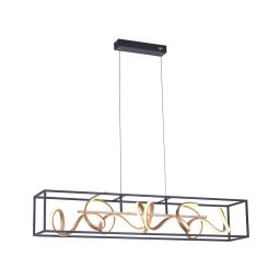 Paul Neuhaus 2416-18 - LED Lustră dimmabilă pe cablu SELINA 4xLED/10,2W/230V