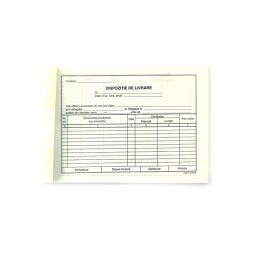 Dispozitie de livrare, format A5, orientare vedere, 100 file