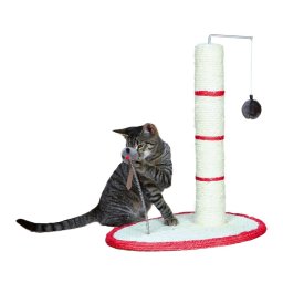 Ansamblu Scratch Me 50 cm