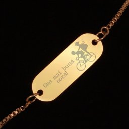 Bratara Gravata Aurie din Inox Oval Cea mai buna Sora