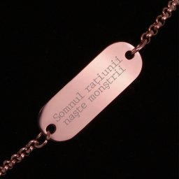 Bratara Gravata Rose Gold din Inox Oval Somnul Ratiunii