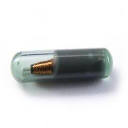 Cip transponder ID 4D60