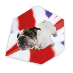 Fluturasi CORE MAESTRO PLUS - BULLDOG