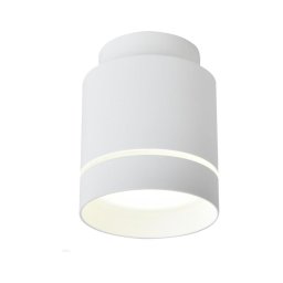Plafonieră LED TUBA LED/12W/230V
