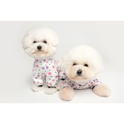 Haina caini PUPPY ANGEL Salopeta ploaie Polka Dot Fete PA-OW482