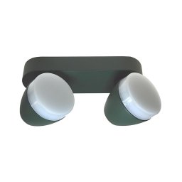 LED Lampă spot SURMUR 2xLED/6W/230V verde