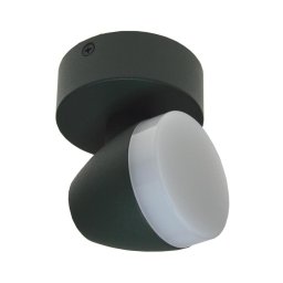 Plafonieră LED SURMUR LED/6W/230V verde