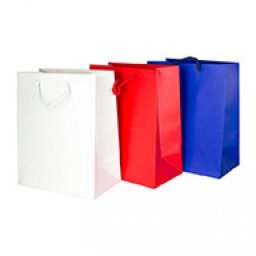 Punga din carton 210g plastifiat mat 18.5x23x10 cm
