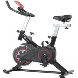 FitTronic SB100