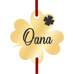 Martisor Bratara Inox Trifoi Auriu Nume Oana