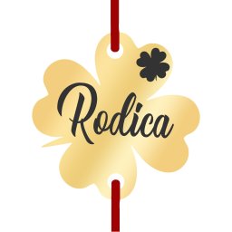 Martisor Bratara Inox Trifoi Auriu Nume Rodica