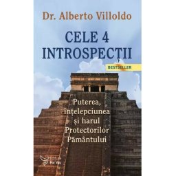 Cele 4 introspectii