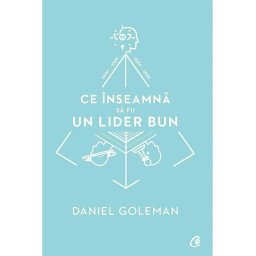 Ce inseamna sa fii un lider bun