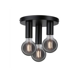 Paulmann 79761 - Plafonieră HALDOR 3xE27/20W/230V