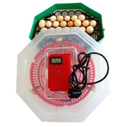 Incubator Cleo cu termometru si dispozitiv de intoarcere a oualor. Capacitate 41 de oua de gaina