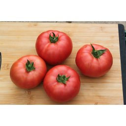 Manekro F1 500 sem seminte de tomate roz