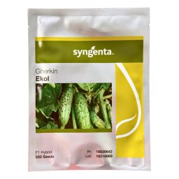 Ekol F1, castraveti cornison