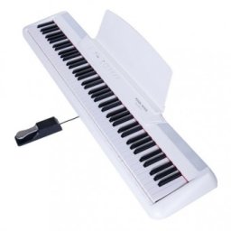 Pearl River P60 WH