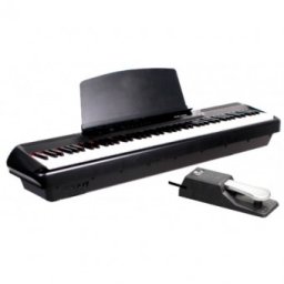 Pearl River P60 BK