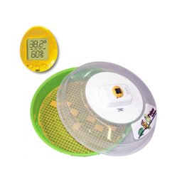 Incubator de oua Puisor Exotic, oua reptile, pasari exotice