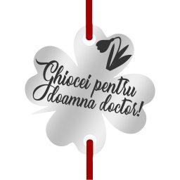 Martisor Bratara Inox Trifoi Argintiu Ghiocei Doamna Doctor
