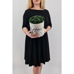 Set cadou , Trandafiri sapun , cutie rotunda cu trandafiri verzi