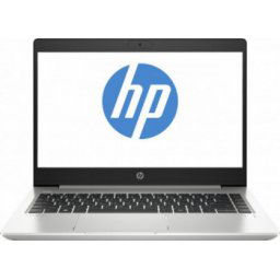 HP ProBook 455 G7 (1L3H0EA)