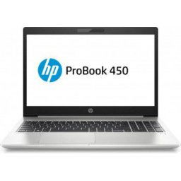 HP ProBook 450 G7 (2D292EA)