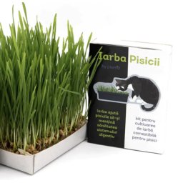 Kit - Iarba Pisicii Fresh