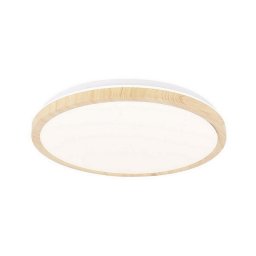 Plafonieră LED GANDAVA LED/24W/230V
