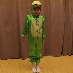 Costum Broscuta - cod J022