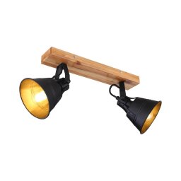 Globo 15466S-2 - Lampă spot GÜNTHER 2xE27/60W/230V