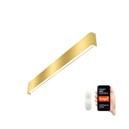 Aplică LED SMART LINEA LED/40W/230V Immax NEO 07137-G + telecomandă 76 cm