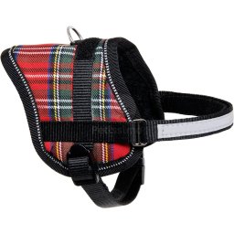 Ham Flamingo Eeny Meeny - cu pătrățele S