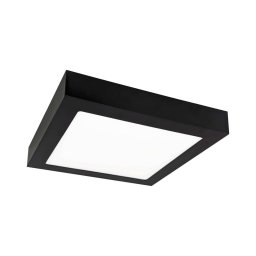 Plafonieră LED FENIX LED/12W/230V 3800K 17 cm
