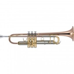J.Michael TR-450