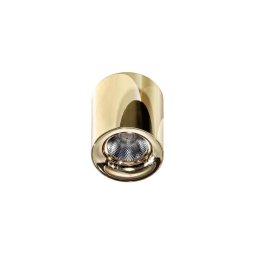 Azzardo AZ2846 - Plafonieră LED MANE/10W/230V
