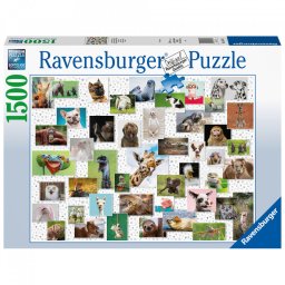 Puzzle Colaj Cu Animale, 1500 Piese