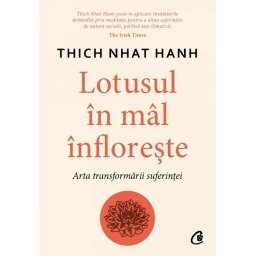 Lotusul in mal infloreste