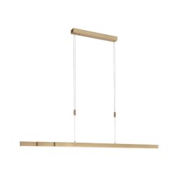 Lustră LED dimabilă pe cablu Paul Neuhaus 2568-60 ADRIANA LED/14W/230V alămie
