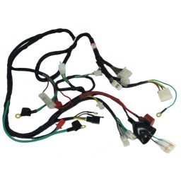 Instalatie electrica scuter roata 10''