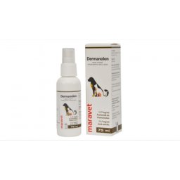 Dermanolon spray, 75 ml