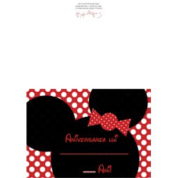 Invitatii de petrecere copii adulti - Disney Minnie Mouse