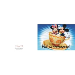 Invitatii de petrecere copii adulti - Disney Mickey & Minnie Mouse