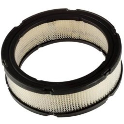 Filtru aer compatibil Vanguard Briggs & Stratton SA42359