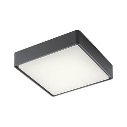 Redo 90157 - Plafonieră LED exterior MARINA 1xLED/12W/230V IP65